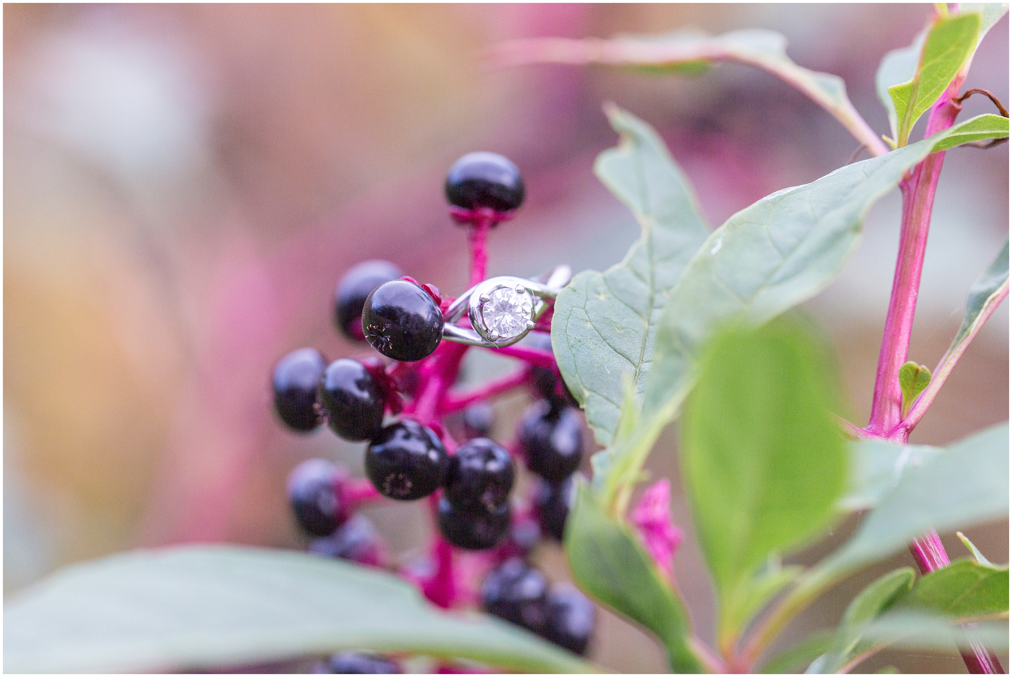 engagement ring near on berry branch in Greenville SC