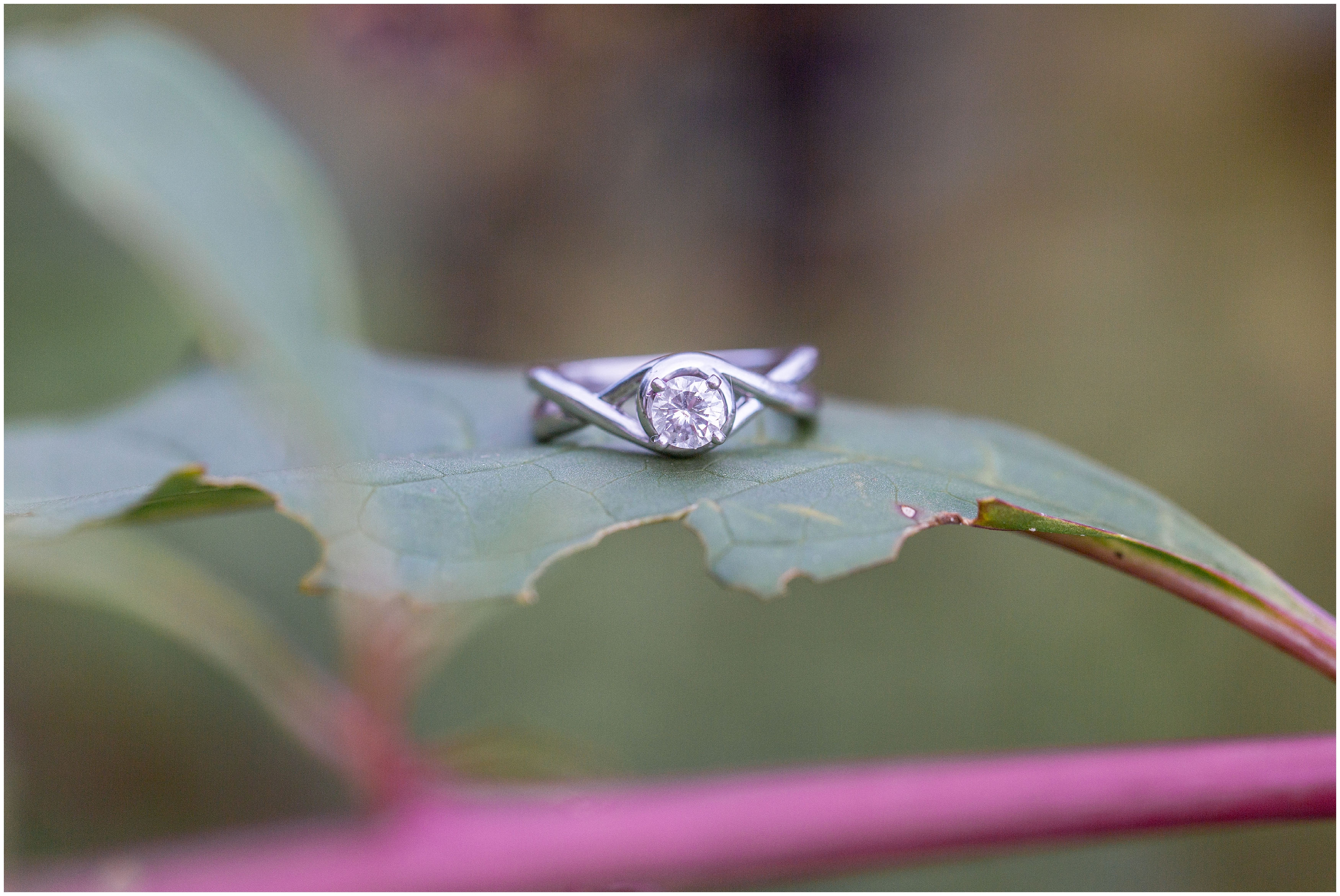engagement ring from  covered Bridge engagement session