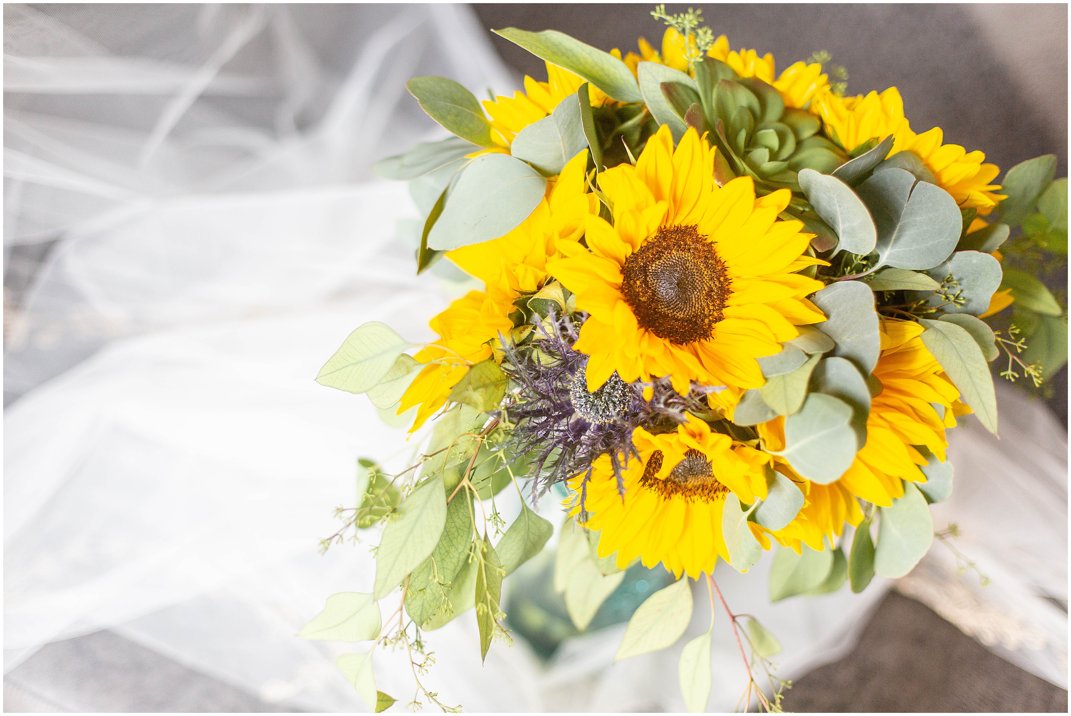 sunflowers from MI wedding
