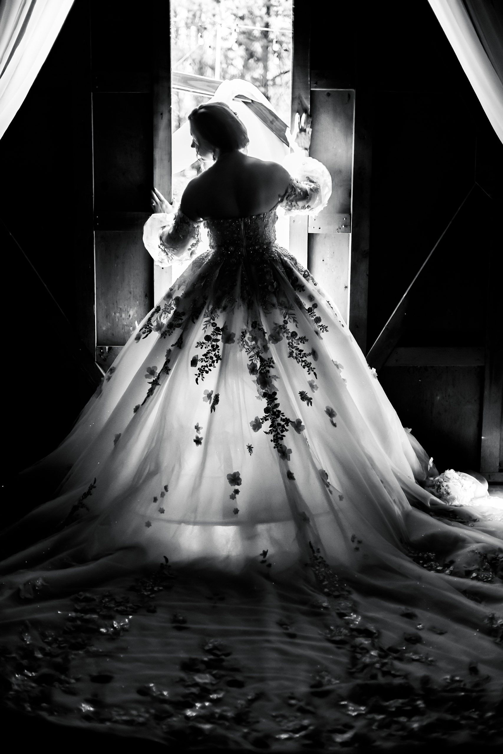 black and white portrait of ballgown wedding dress