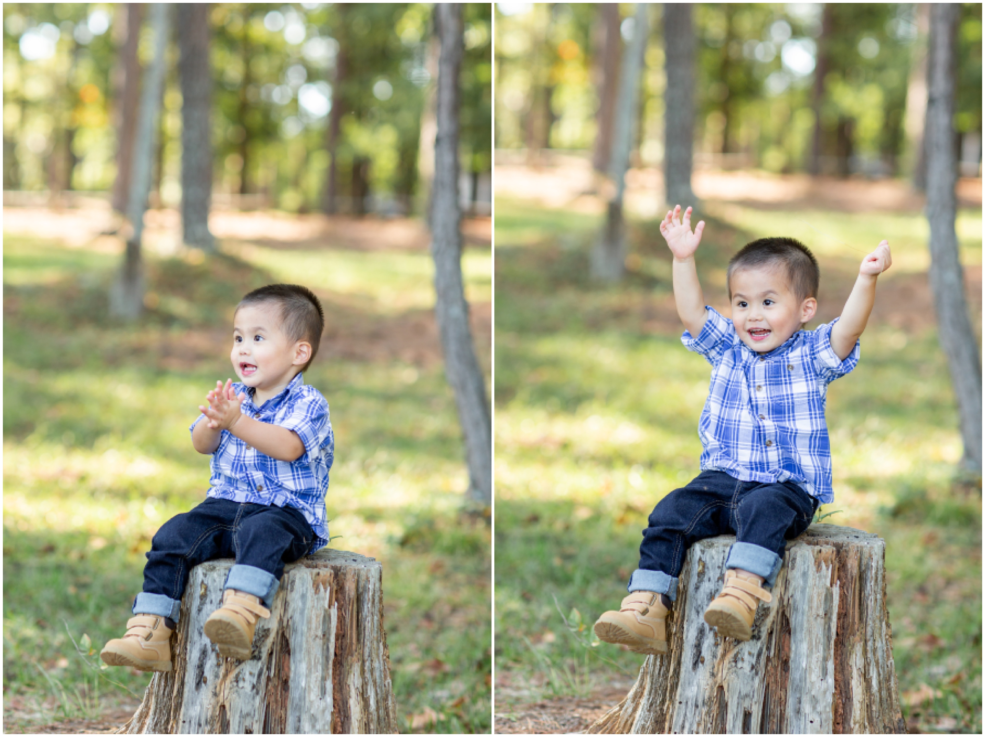 toddler sits on stump during GA family photos
