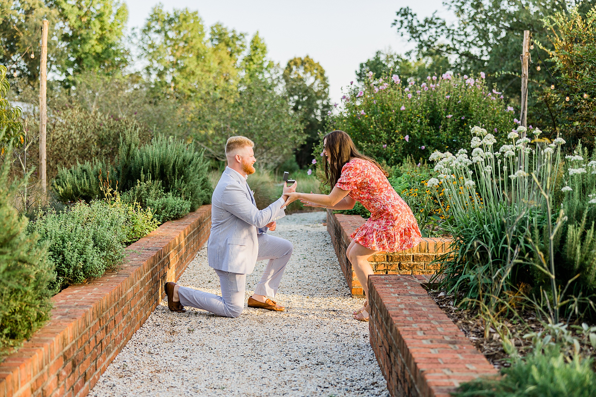 man gets down on one knee in garden to propose