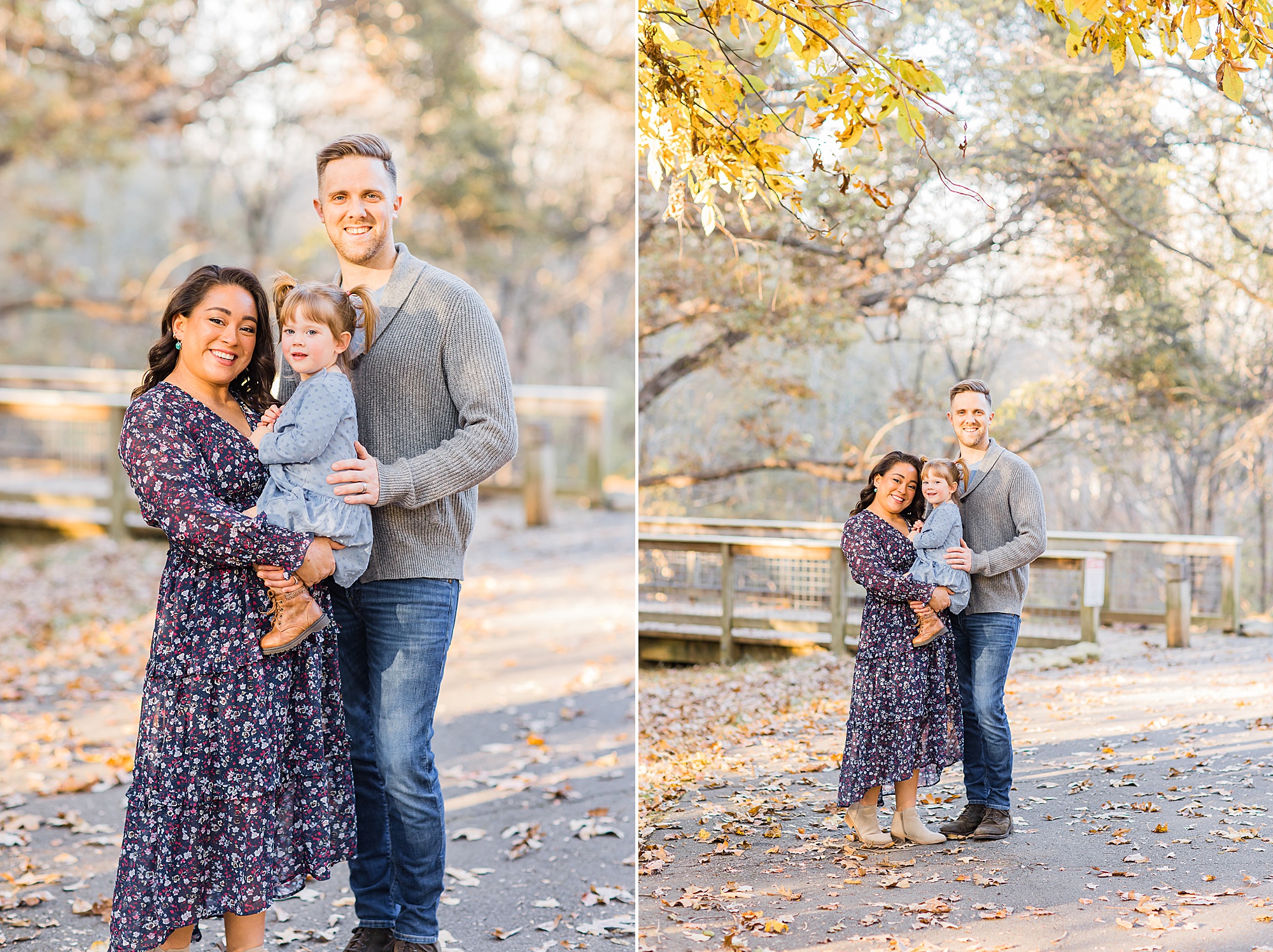 family session in Duluth park