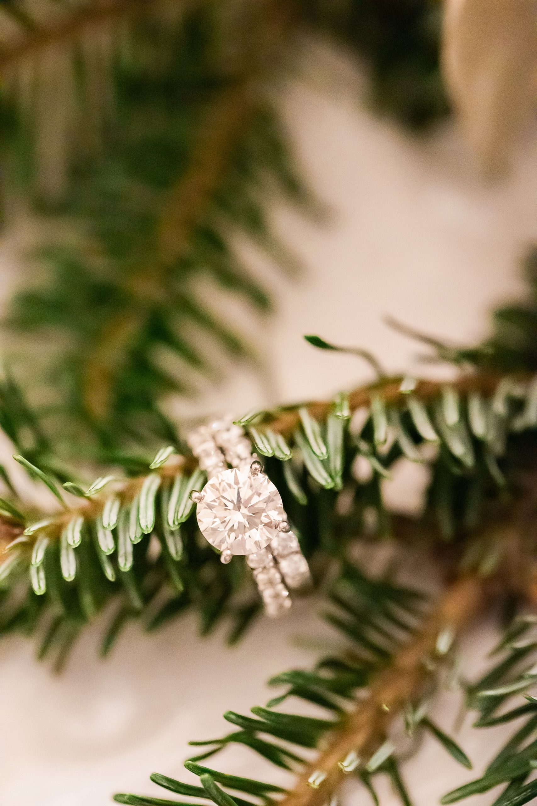 wedding ring rests on Christmas tree branch