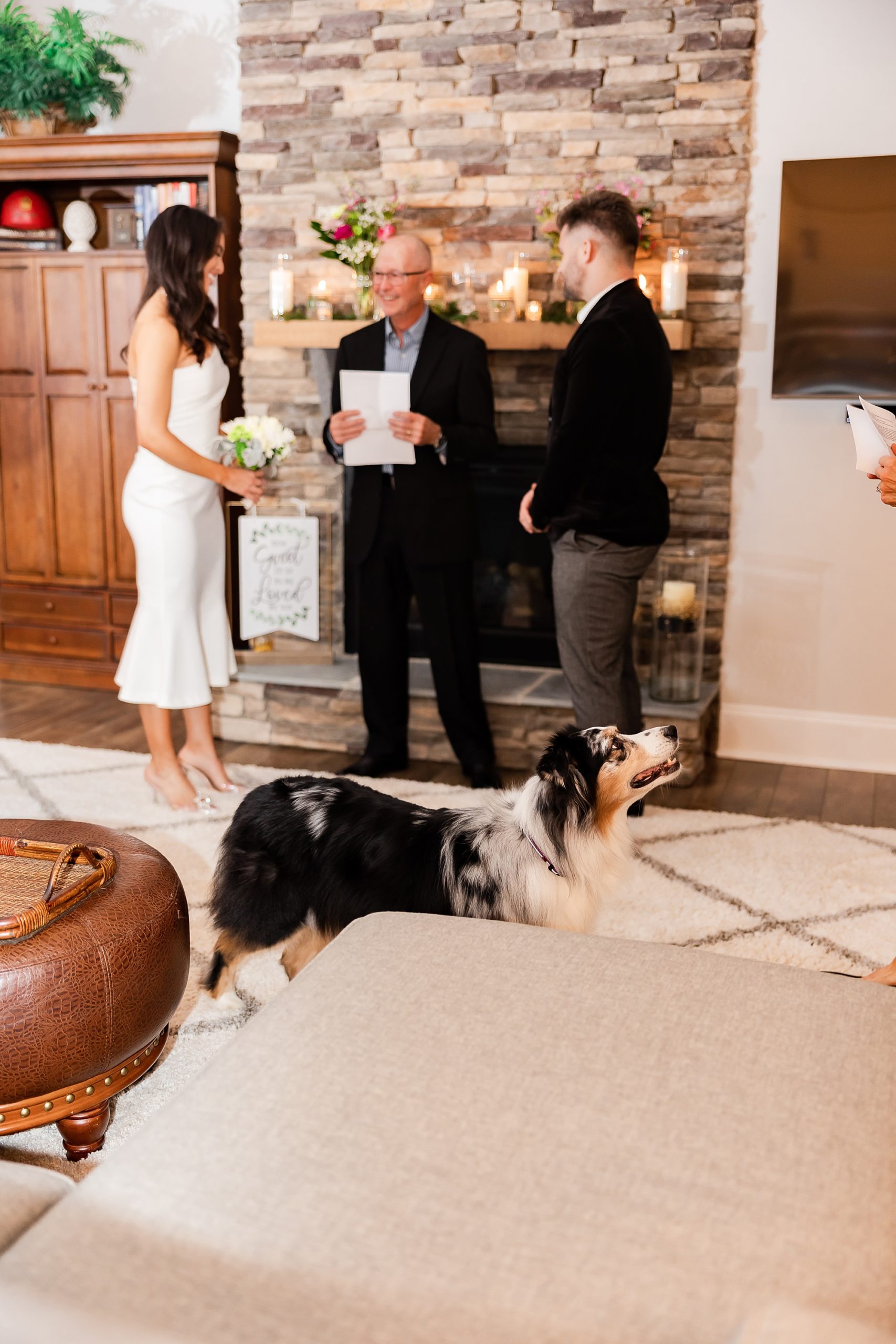 dog walks through wedding ceremony at home