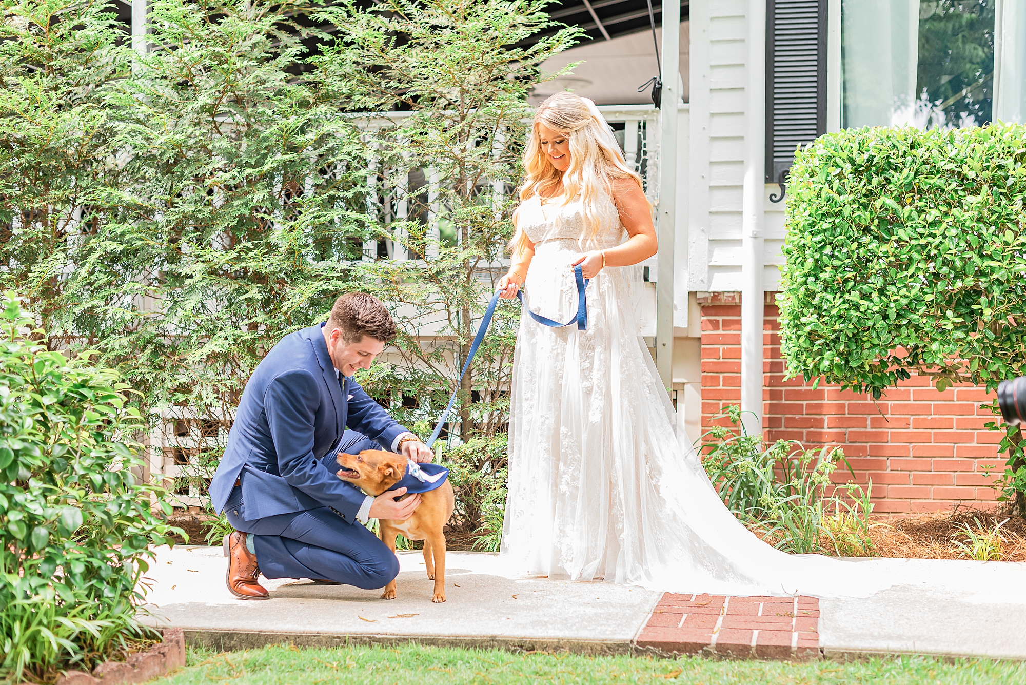 couple sees dog on wedding day