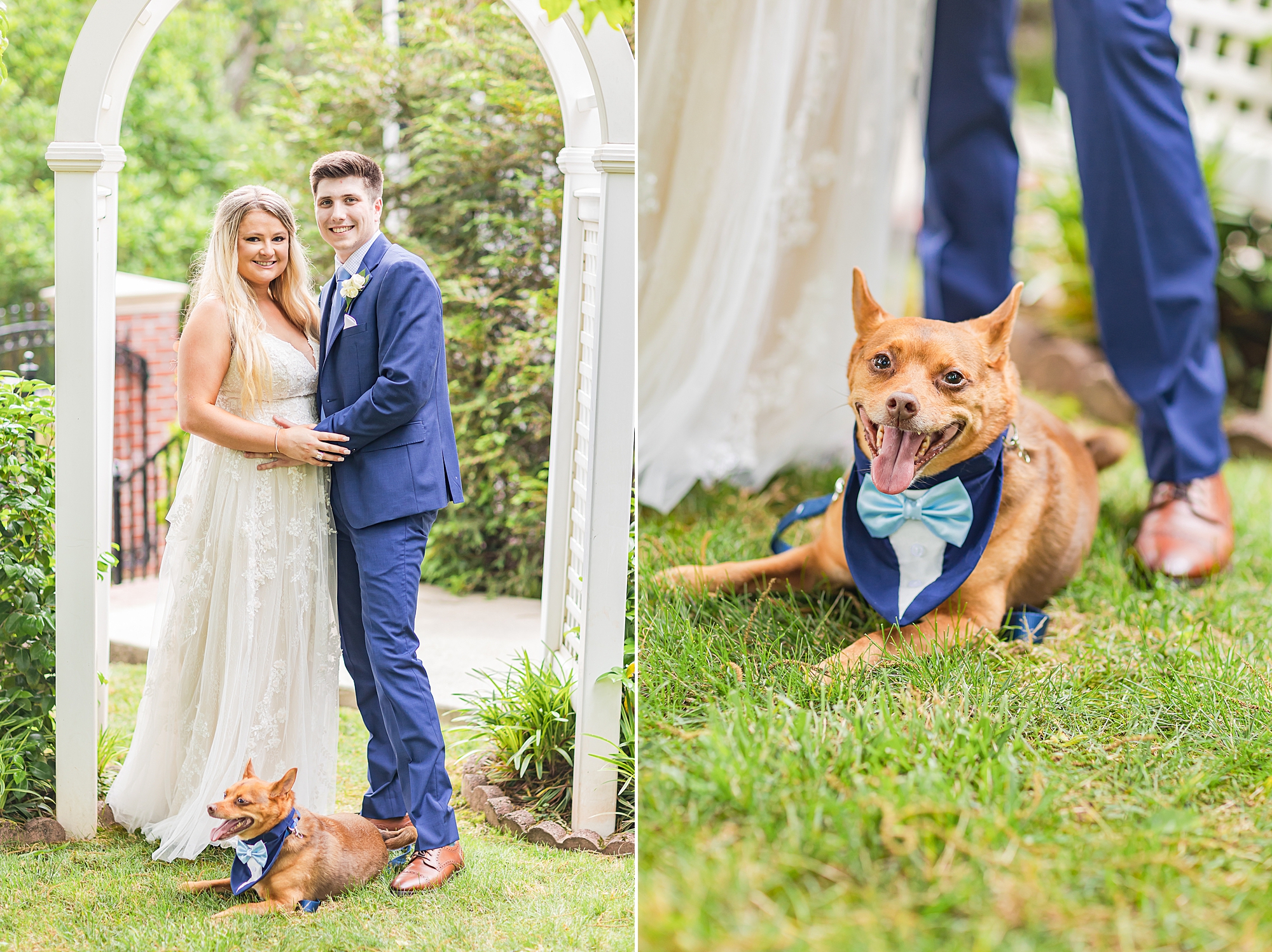 bride and groom pose with dog