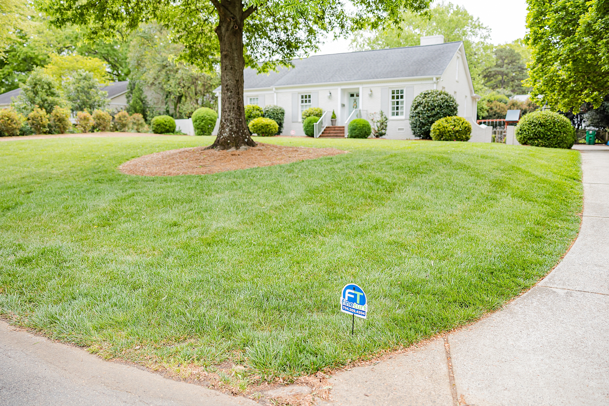 mowed lawn in front of South Charlotte home 
