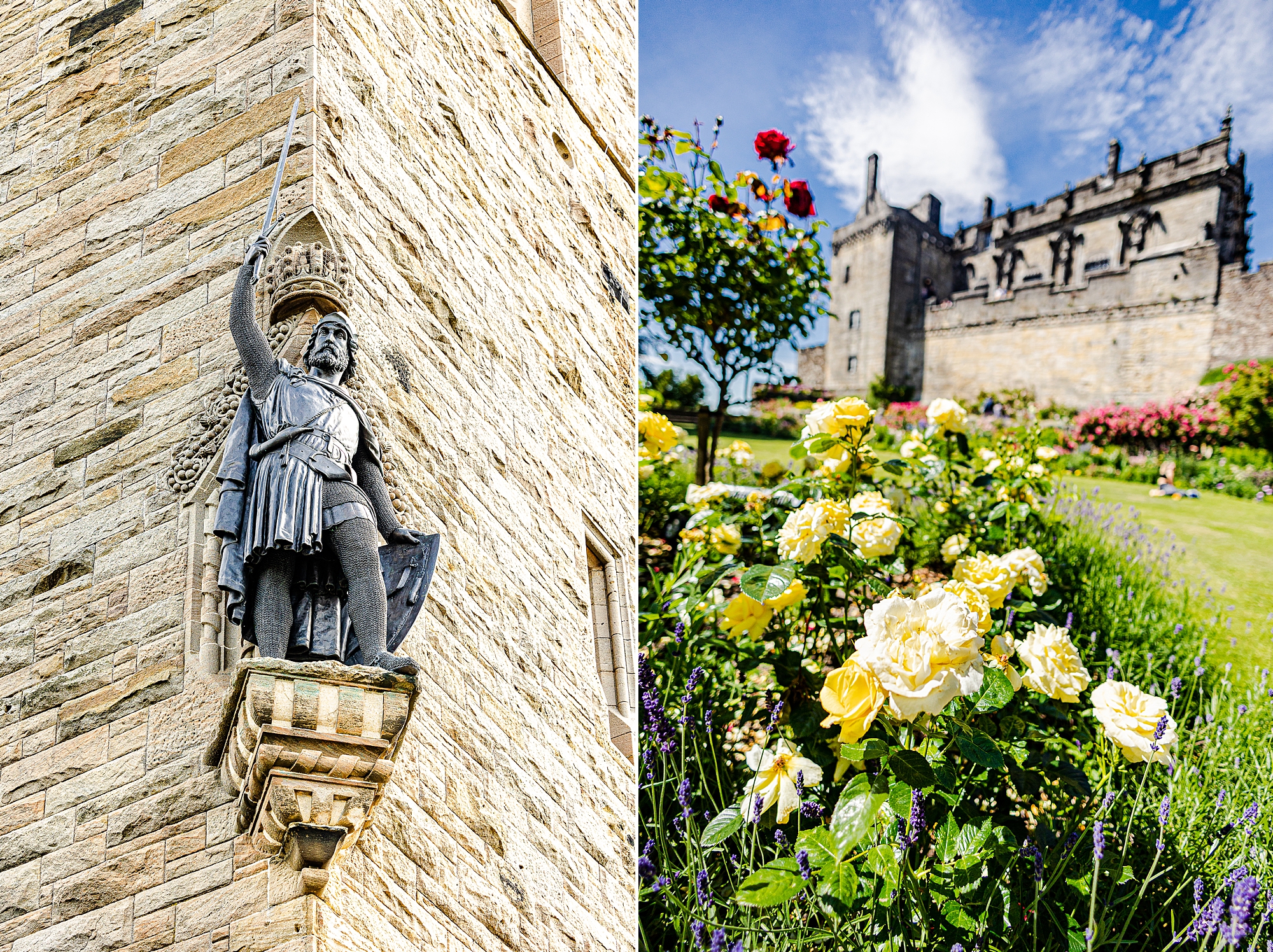 details of Scottish castle with yellow roses in garden
