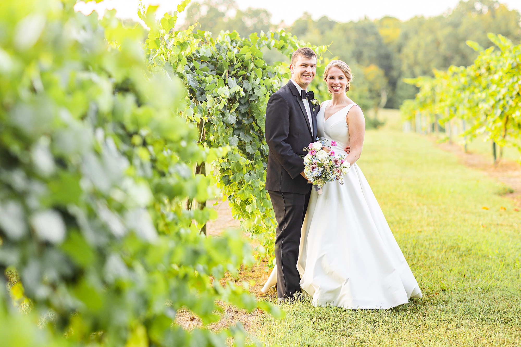 newlyweds stand between rows of vines at Old Homeplace Vineyard