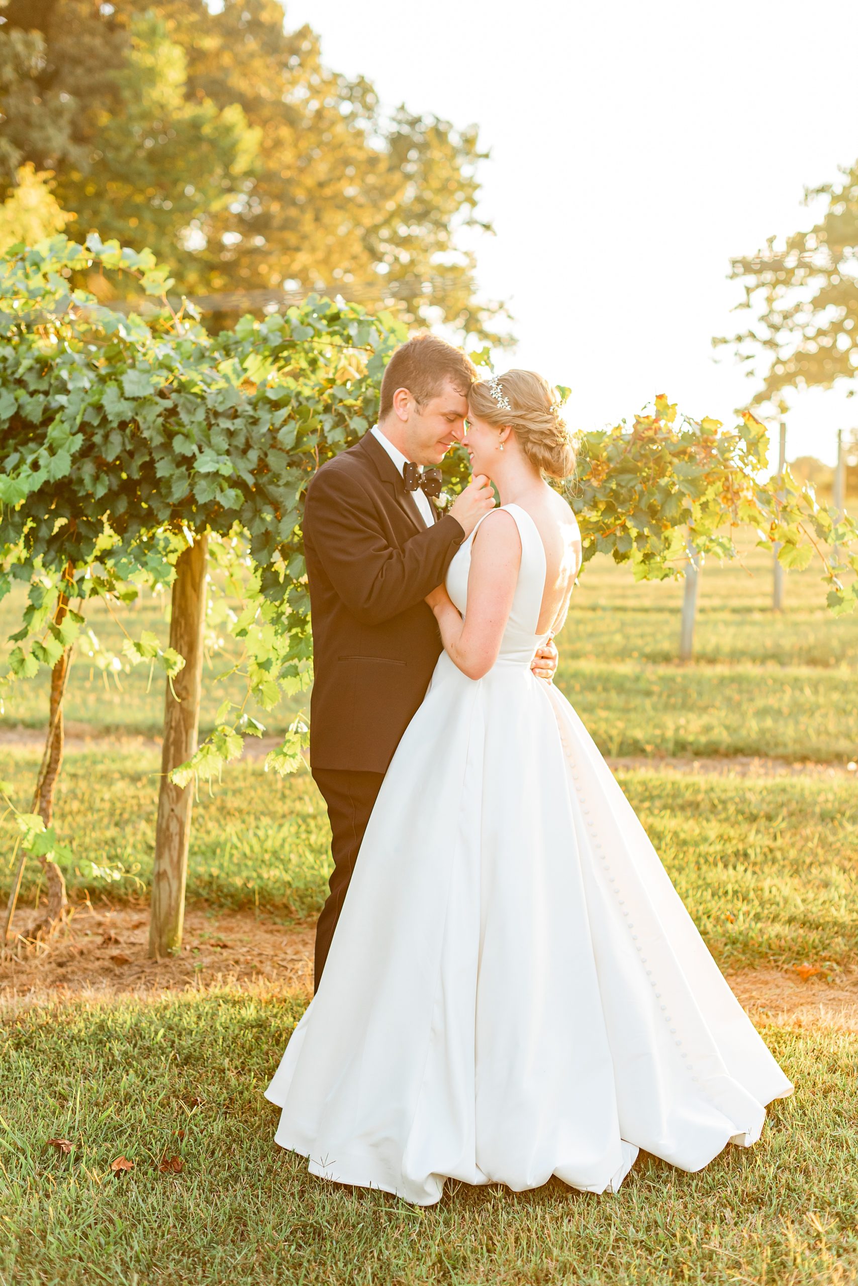 sunset portrait of bride and groom hugging among vines at Old Homeplace Vineyard