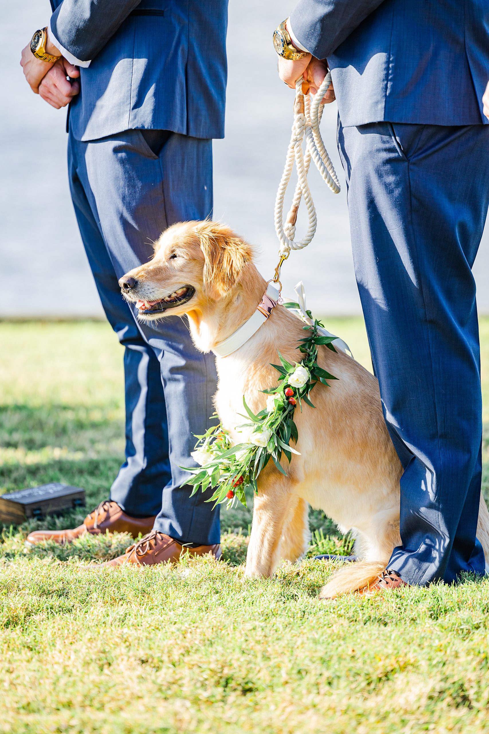 dog sits with floral wreath during ceremony 